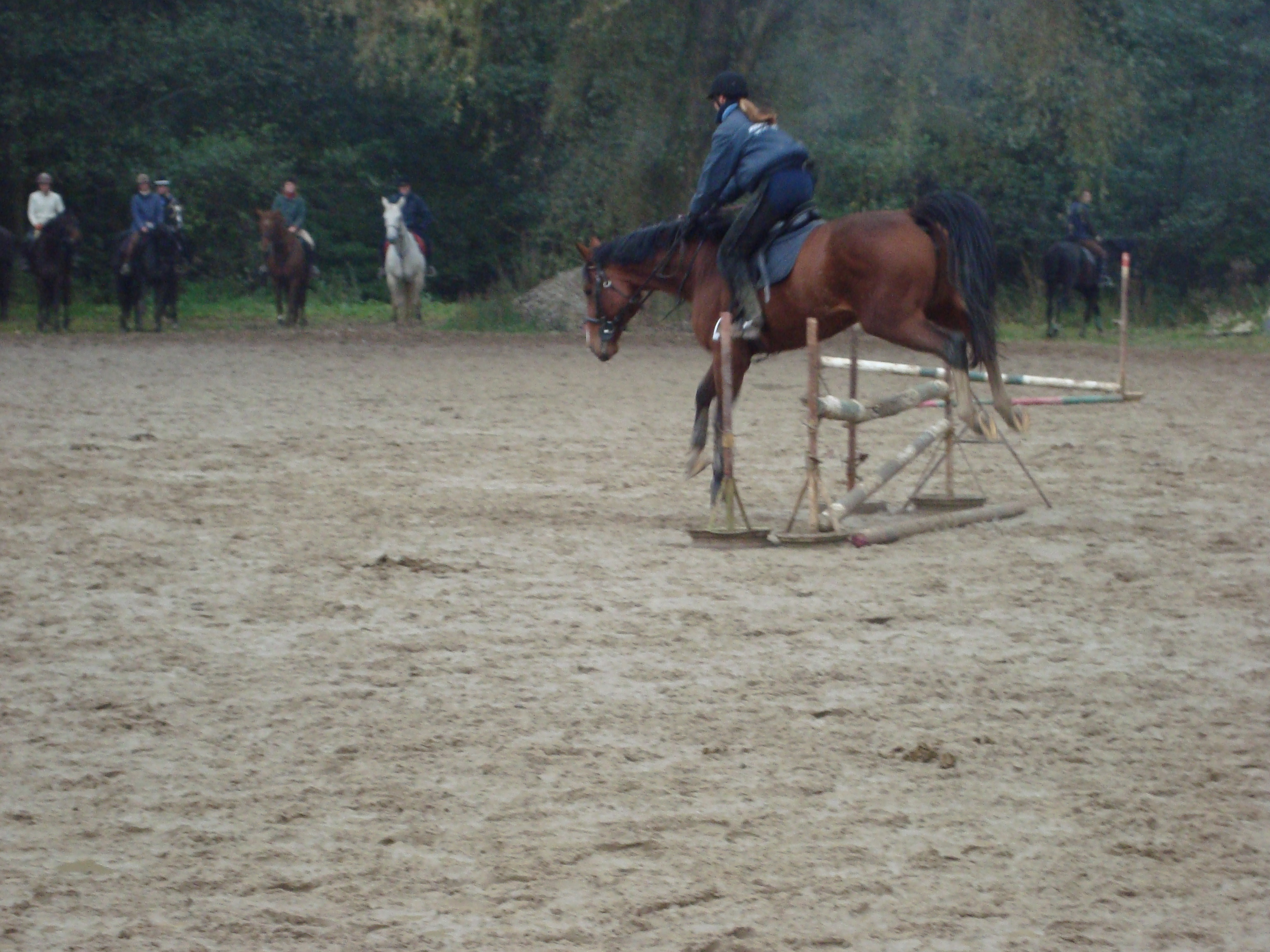 Demmi skace